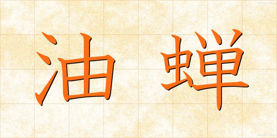 油蝉 (あぶらぜみ)