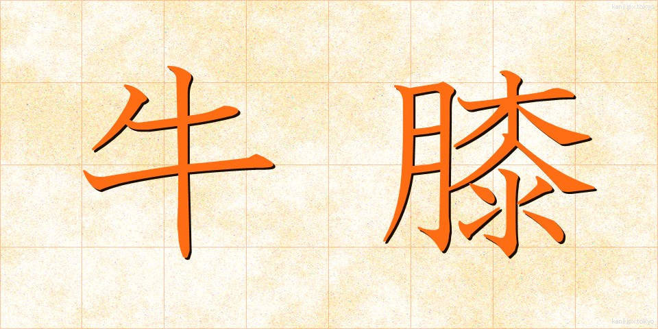 牛膝 (ごしつ)
