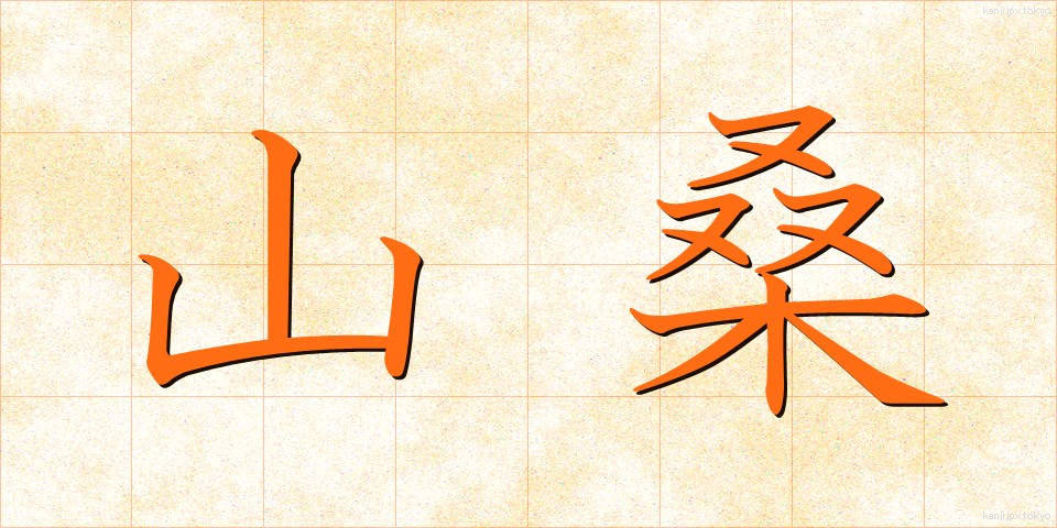 山桑 (やまくわ)