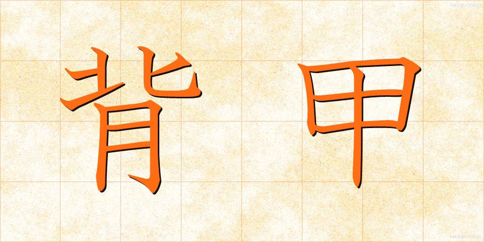 背甲 (はいこう)