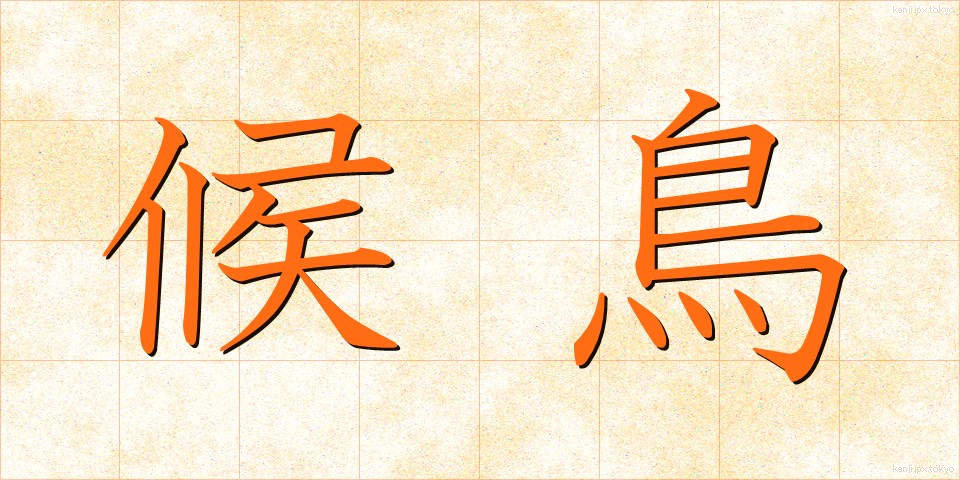 候鳥 (こうちょう)