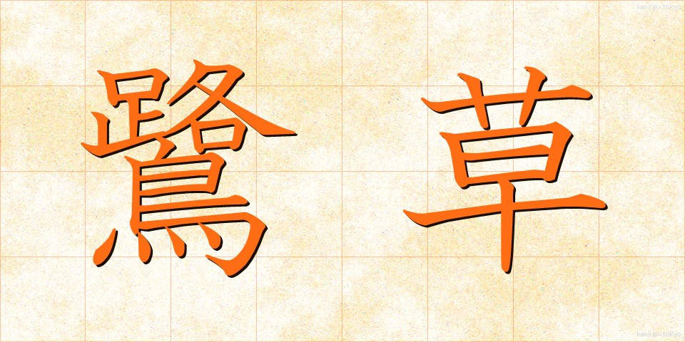 鷺草 (さぎそう)