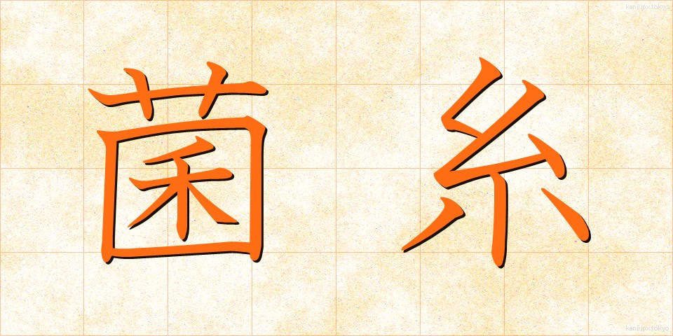 菌糸 (きんし)