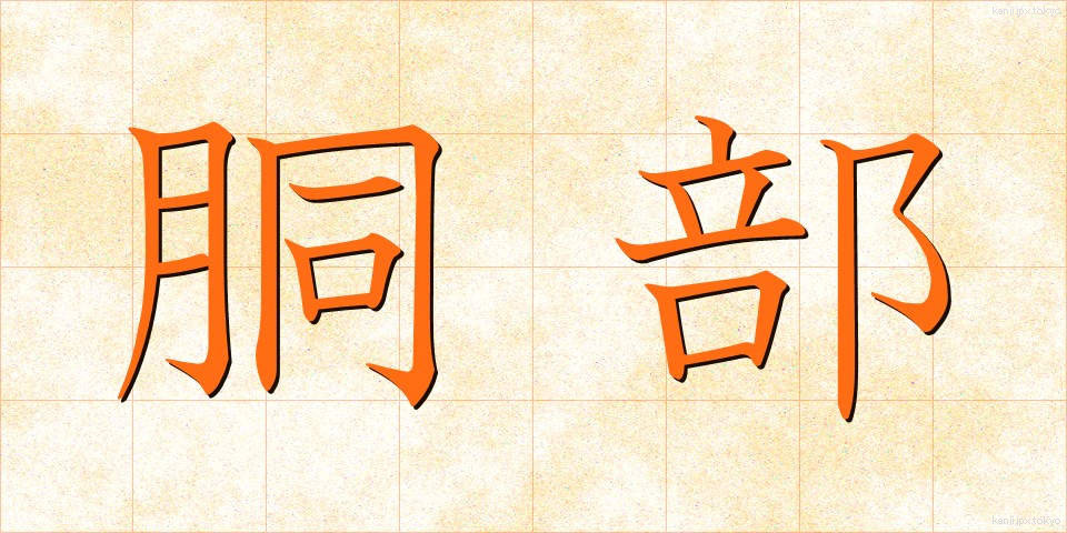 胴部 (どうぶ)