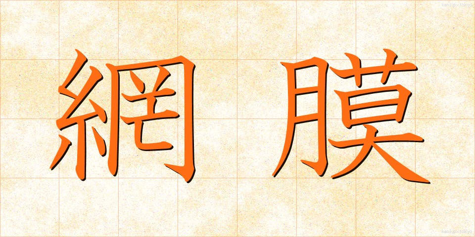 網膜 (もうまく)