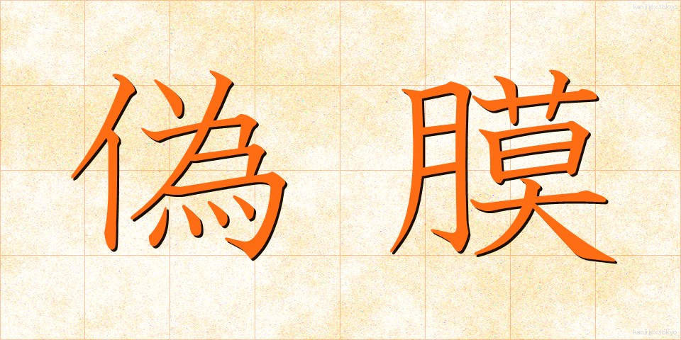 偽膜 (ぎまく)