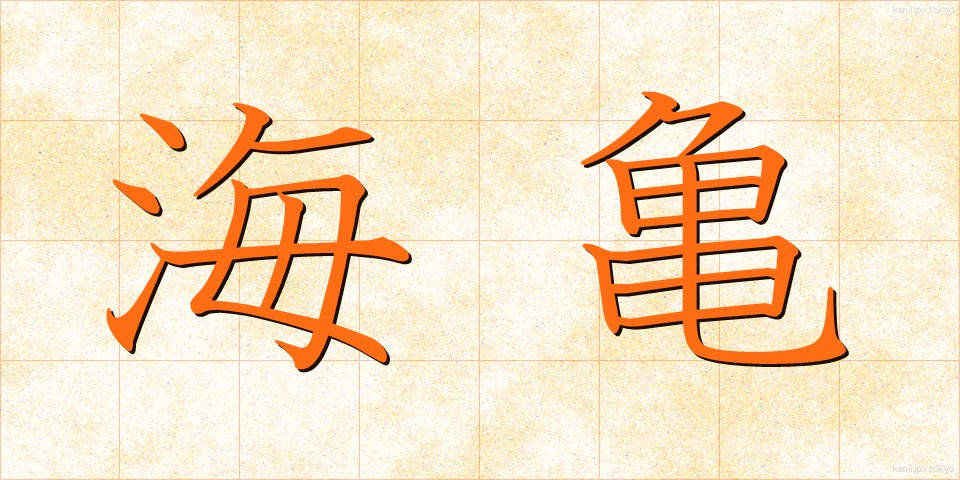 海亀 (うみがめ)