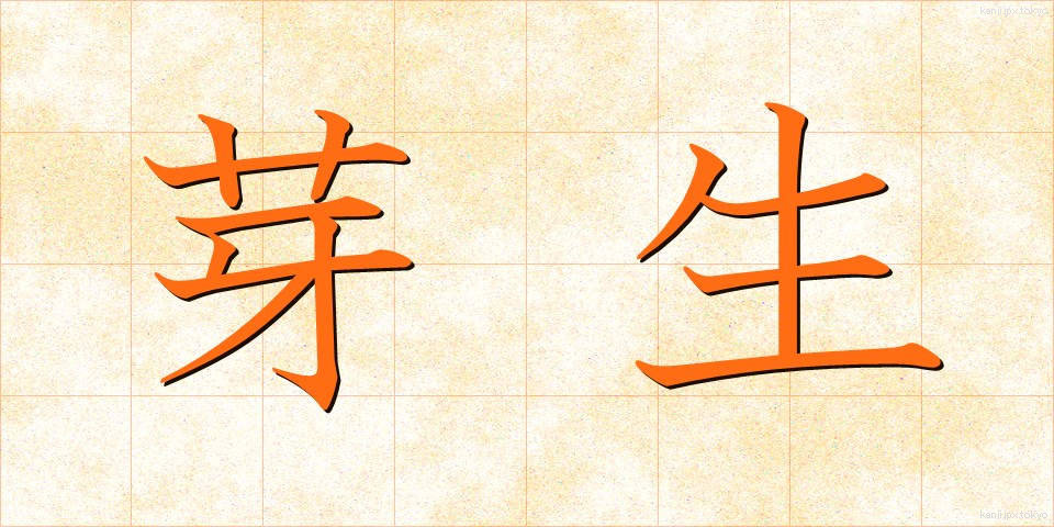 芽生 (めばえ)