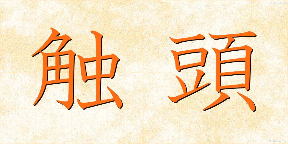触頭 (しょくとう)