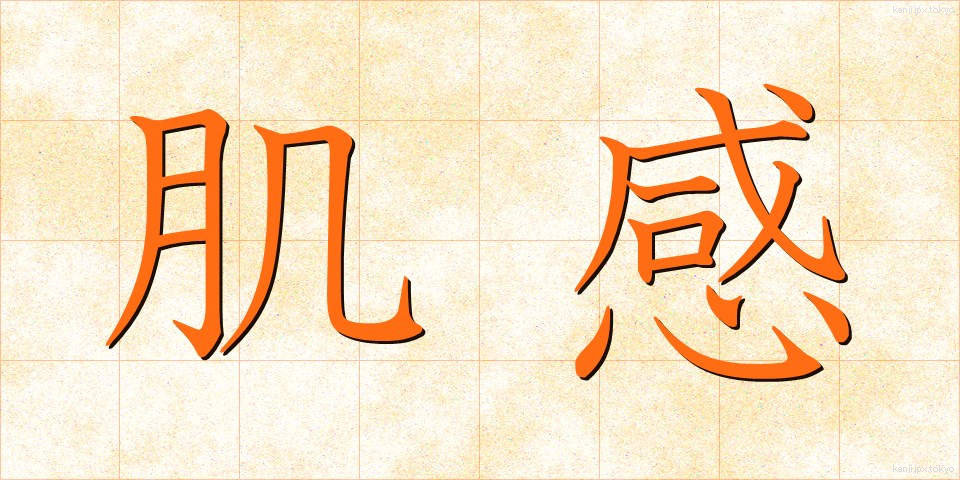 肌感 (はだかん)