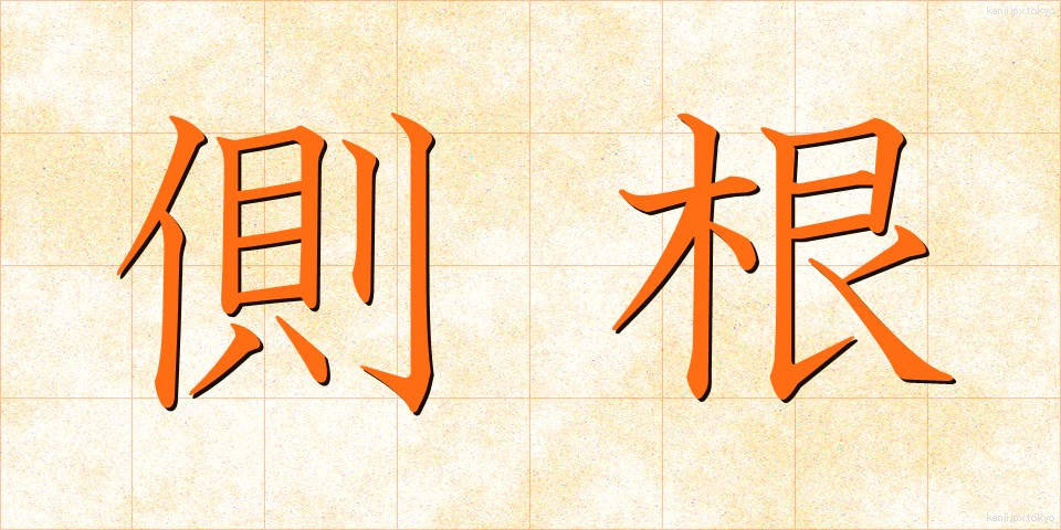 側根 (そっこん)