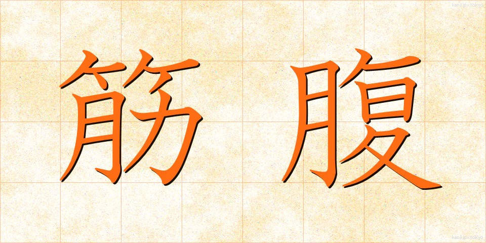 筋腹 (きんぷく)