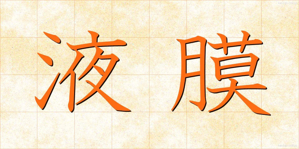 液膜 (えきまく)