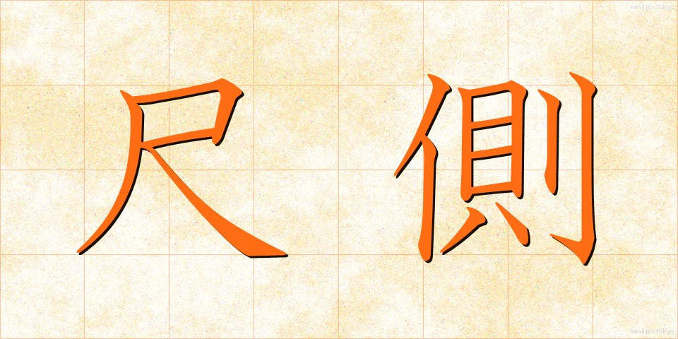尺側 (しゃくそく)