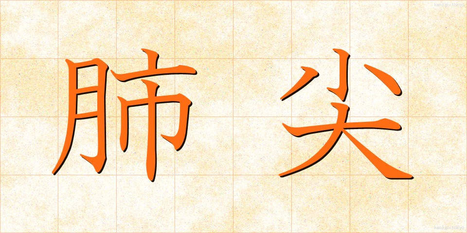 肺尖 (はいせん)