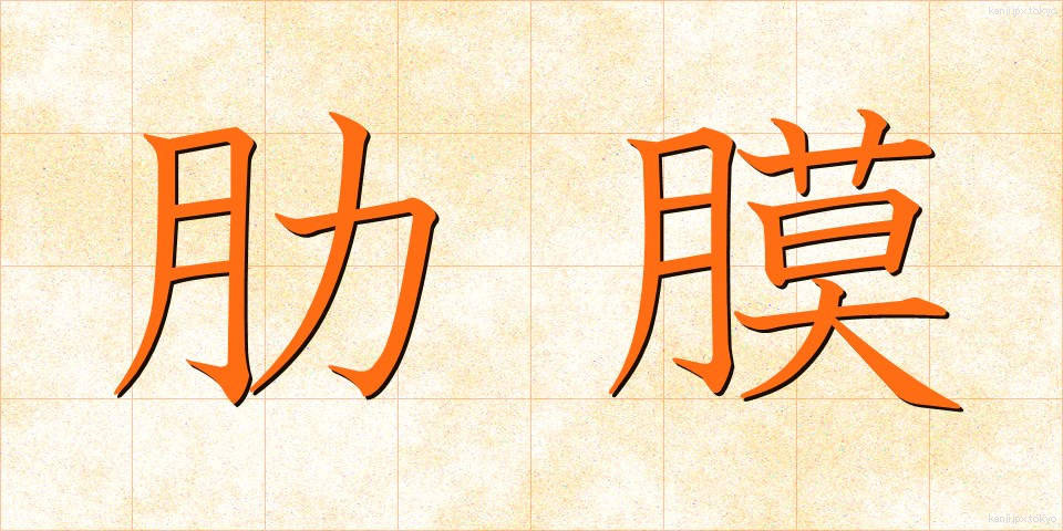 肋膜 (ろくまく)