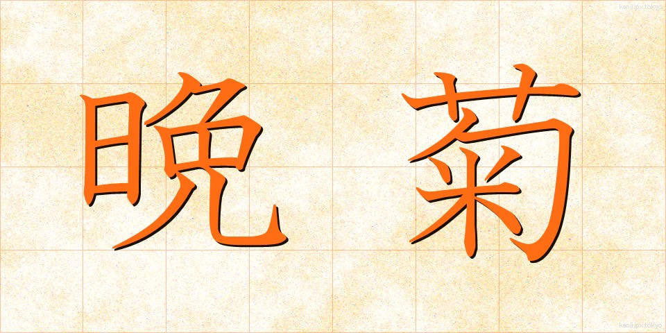 晩菊 (ばんぎく)