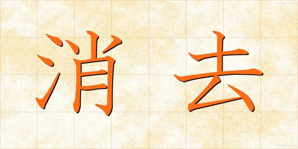 消去 (しょうきょ)