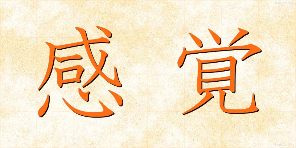 感覚 (かんかく)