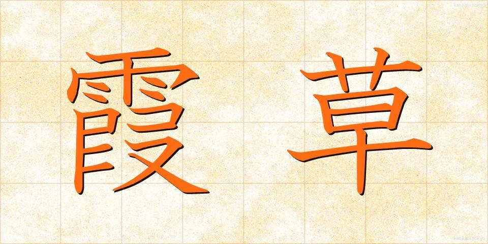 霞草 (かすみそう)