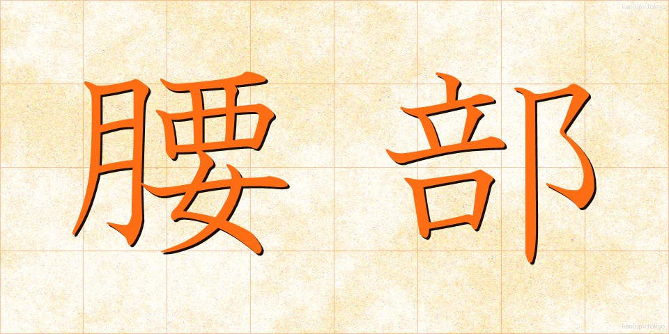 腰部 (ようぶ)