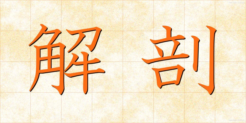解剖 (かいぼう)