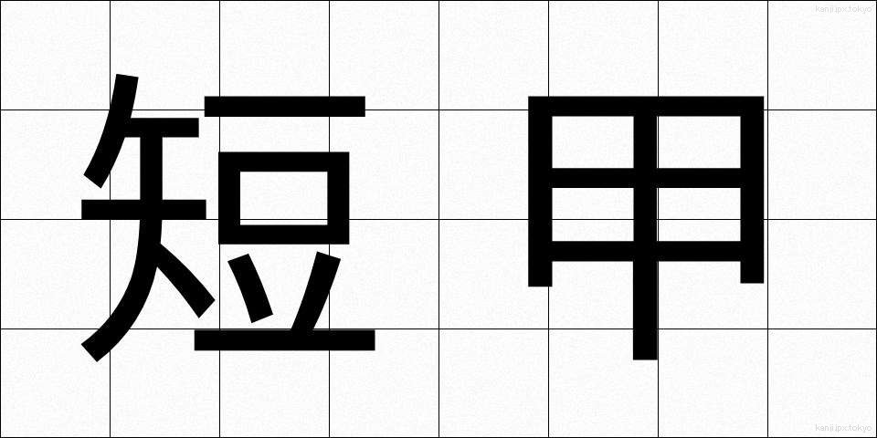 短甲 (たんこう)