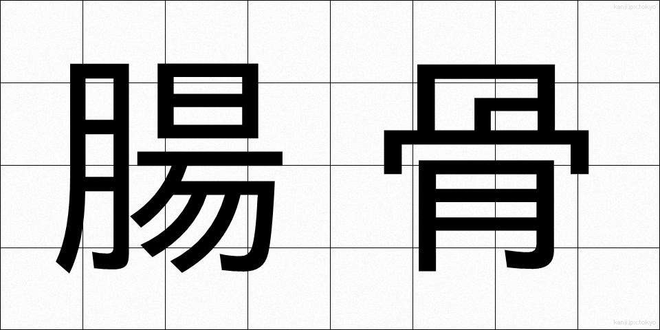 腸骨 (ちょうこつ)