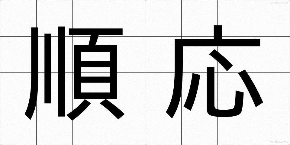 順応 (じゅんのう)