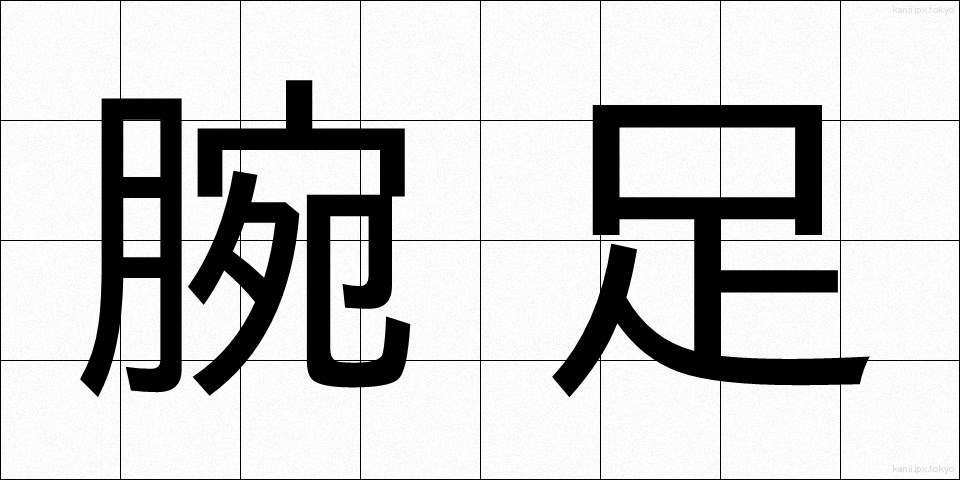 腕足 (うであし)