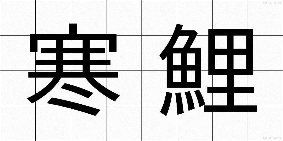 寒鯉 (かんごい)