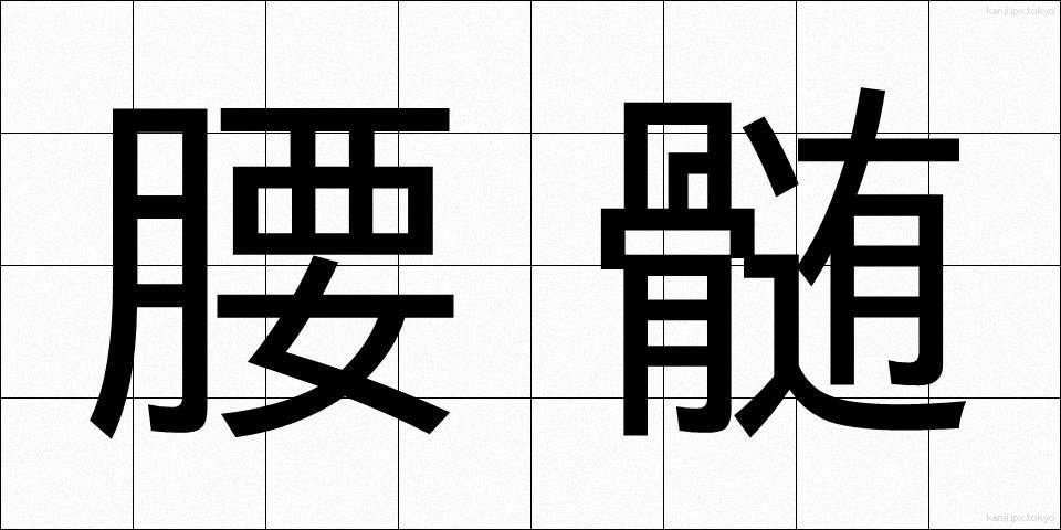 腰髄 (ようずい)