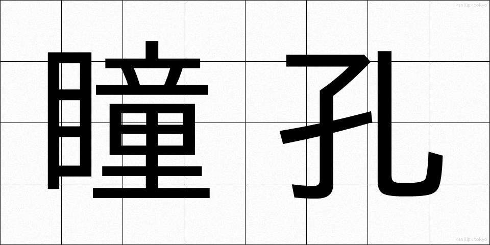瞳孔 (どうこう)