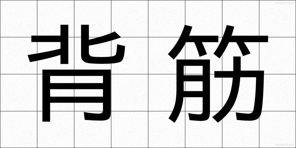 背筋 (せすじ)