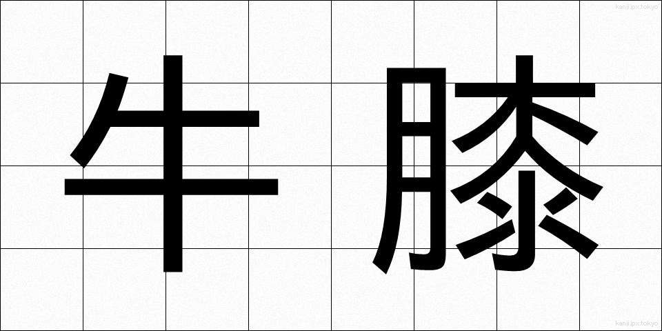牛膝 (ごしつ)