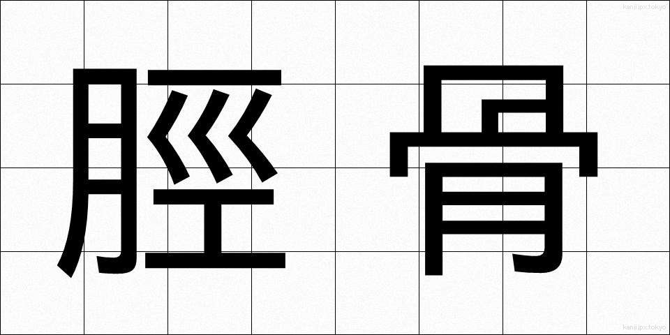 脛骨 (けいこつ)