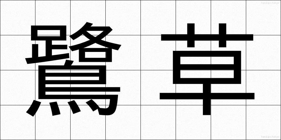 鷺草 (さぎそう)