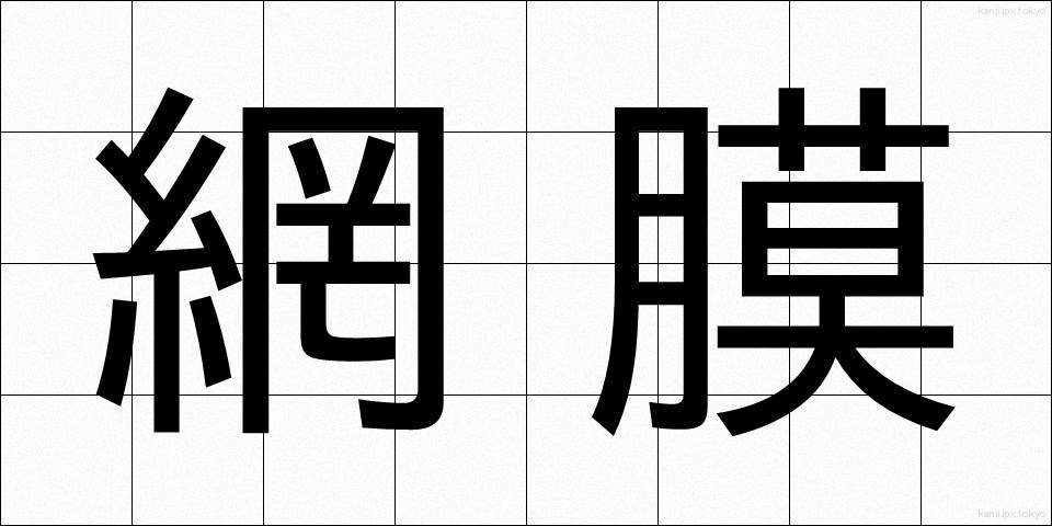 網膜 (もうまく)