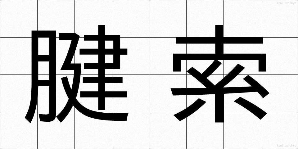 腱索 (けんさく)