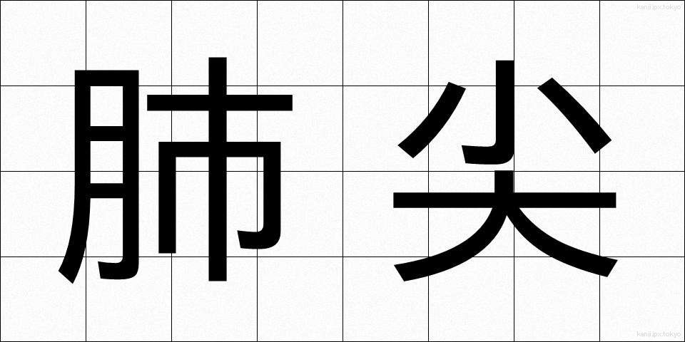 肺尖 (はいせん)