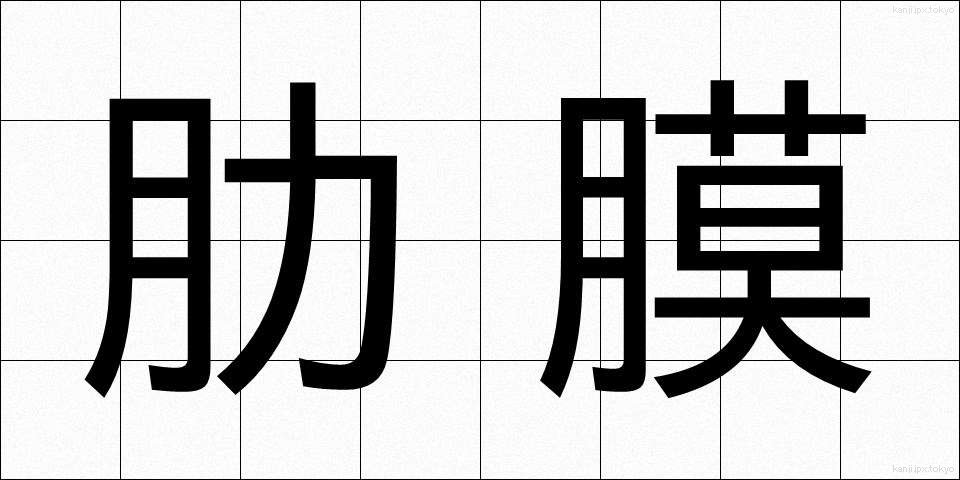 肋膜 (ろくまく)