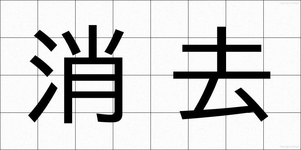 消去 (しょうきょ)