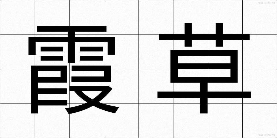 霞草 (かすみそう)