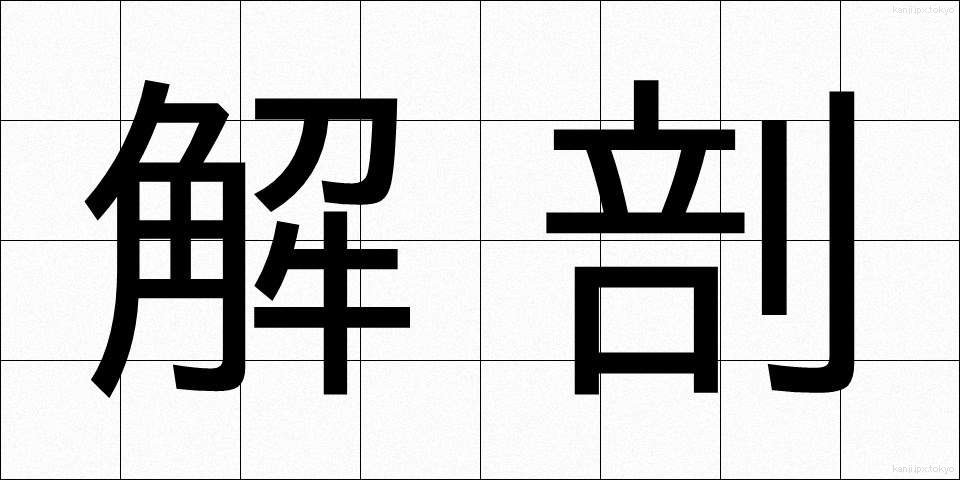 解剖 (かいぼう)