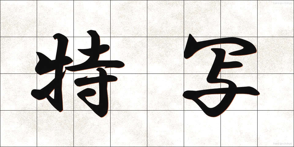 特写 (とくしゃ)