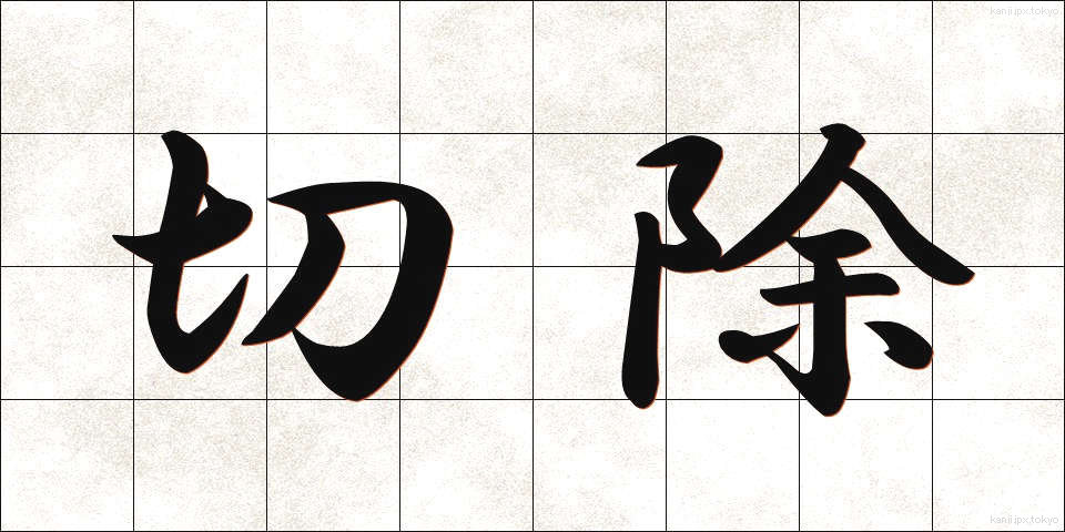 切除 (せつじょ)