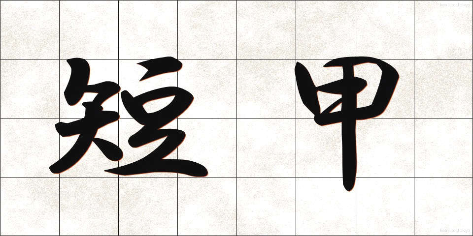 短甲 (たんこう)