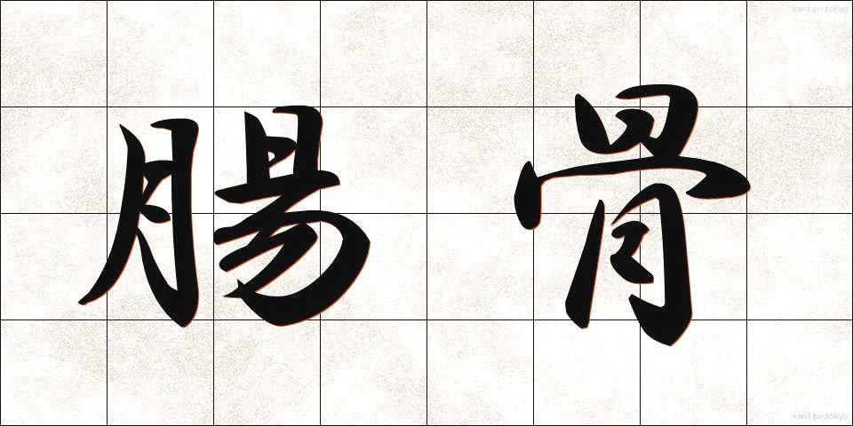 腸骨 (ちょうこつ)