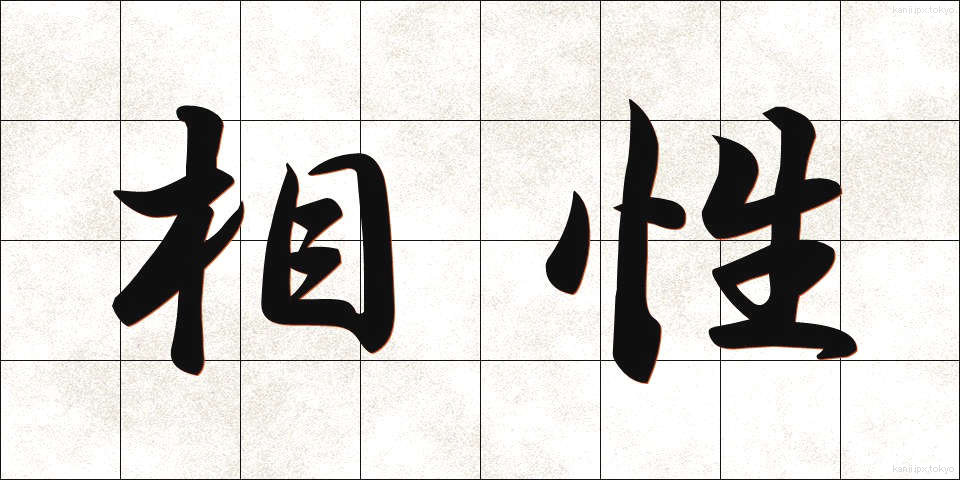 相性 (あいしょう)