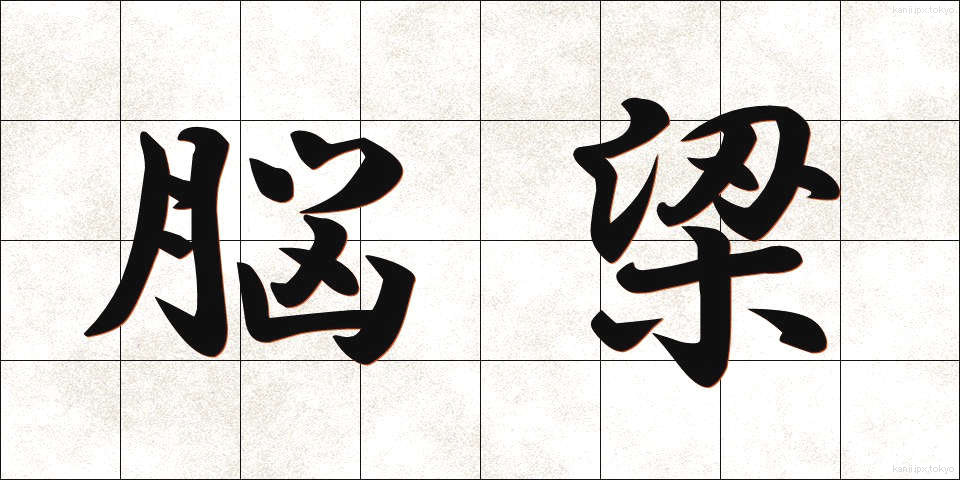 脳梁 (のうりょう)